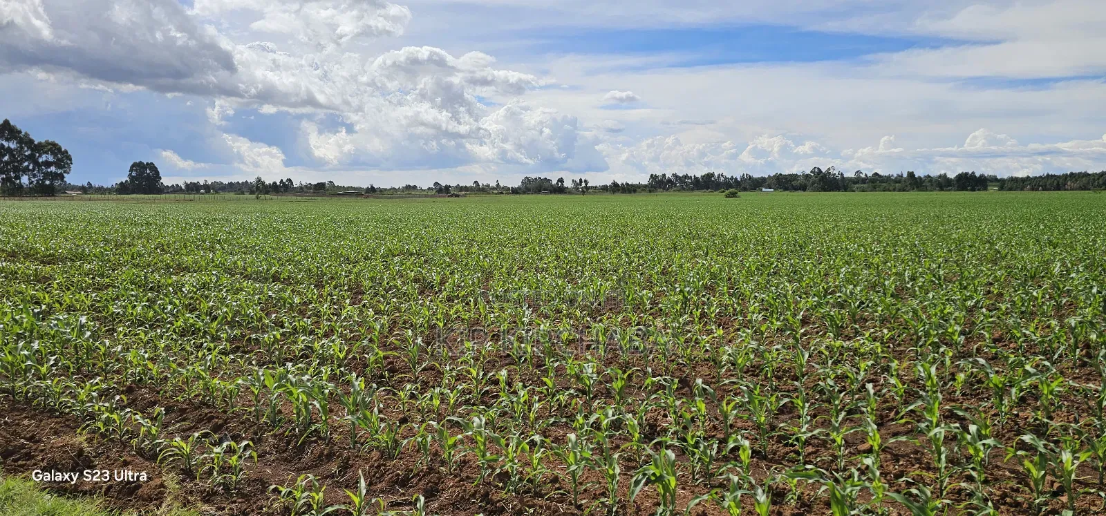 4 Acres for Sale in Kapropu Eldoret Fully Arable