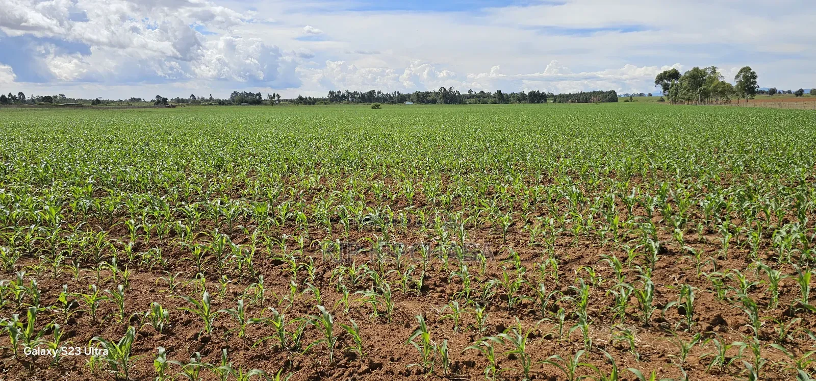 4 Acres for Sale in Kapropu Eldoret Fully Arable