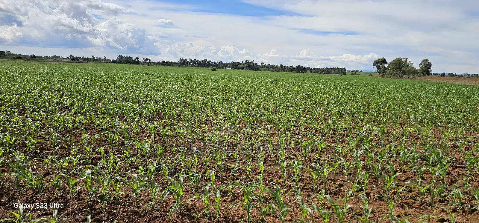4 Acres for Sale in Kapropu Eldoret Fully Arable