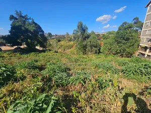 1.25acres Ruaka Two River