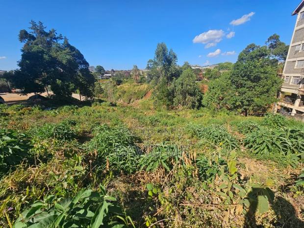 1.25acres Ruaka Two River - thumbnail 3