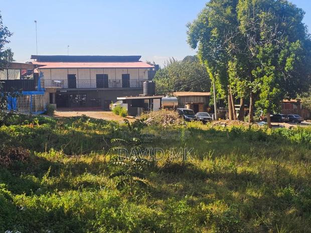 1.25acres Ruaka Two River - thumbnail 4