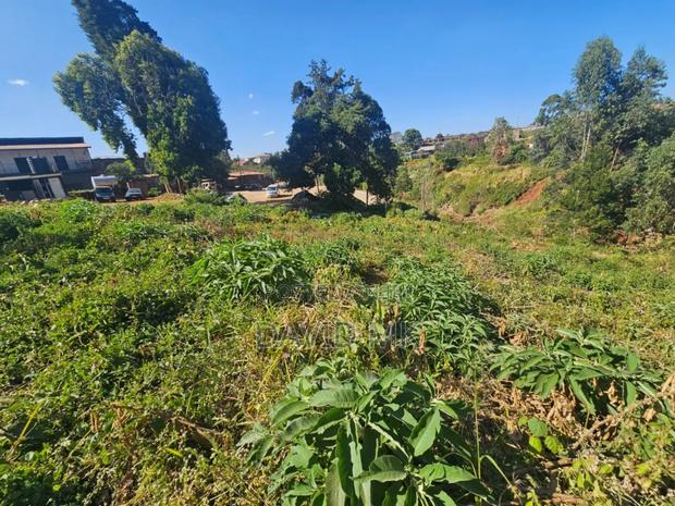 1.25acres Ruaka Two River - thumbnail 5