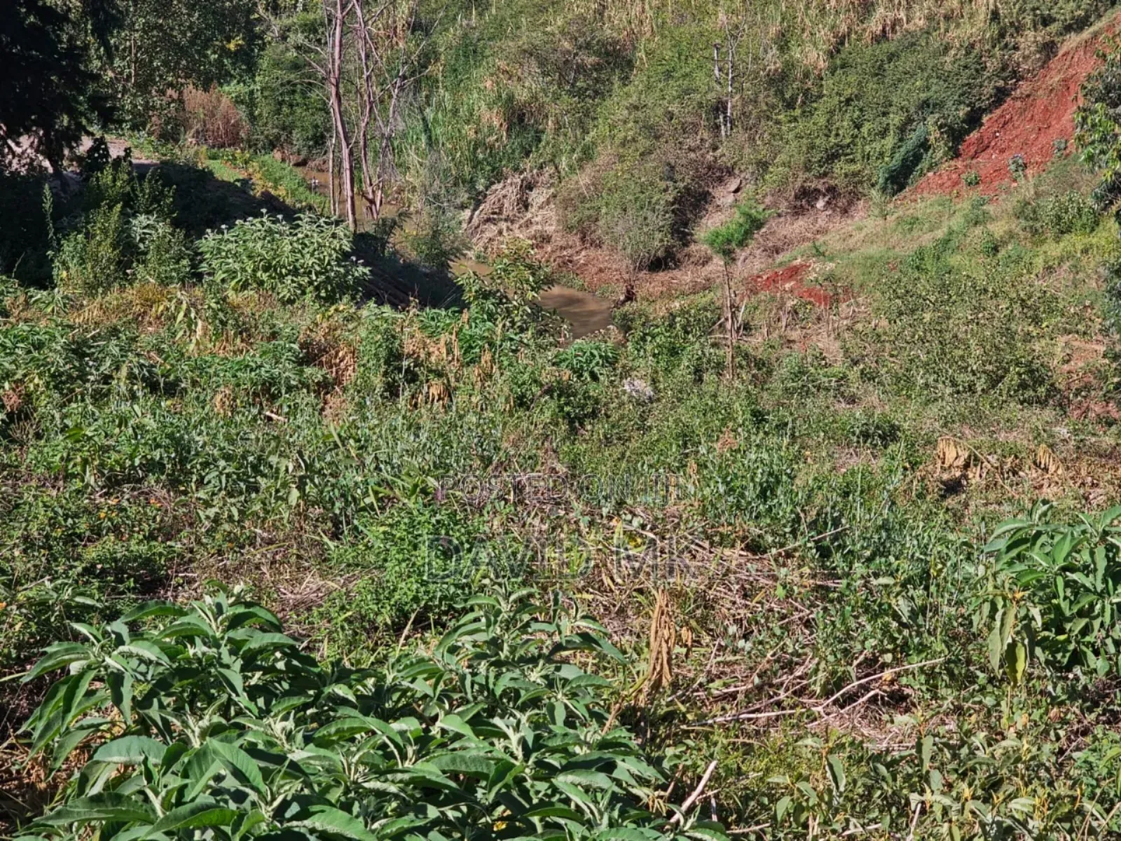 1.25acres Ruaka Two River