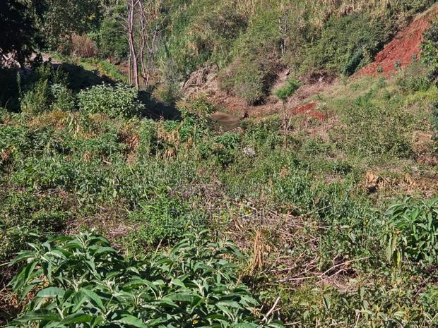 1.25acres Ruaka Two River - thumbnail 6