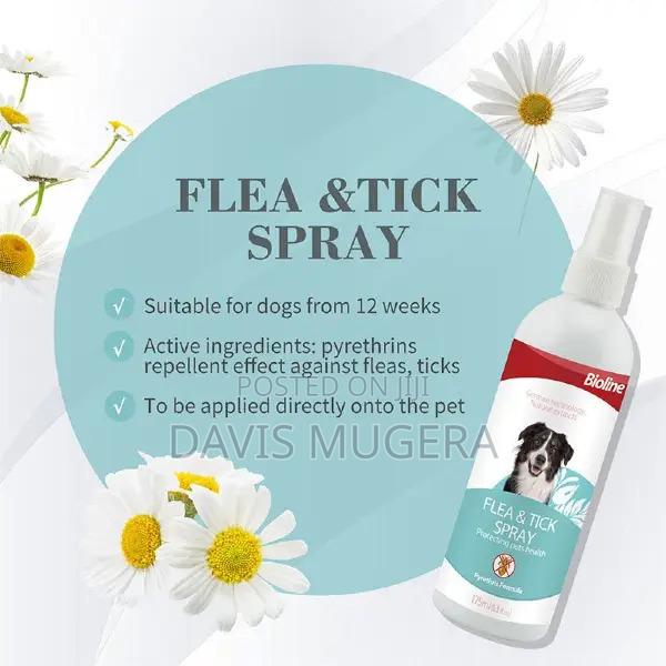 Bioline Flea Tick Spray for Dogs - thumbnail 2