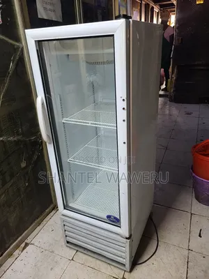 Upright Chiller Refrigerator/200