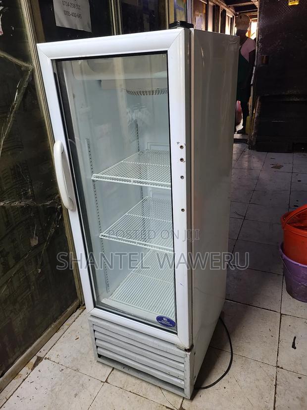 Upright Chiller Refrigerator/200 - thumbnail 2