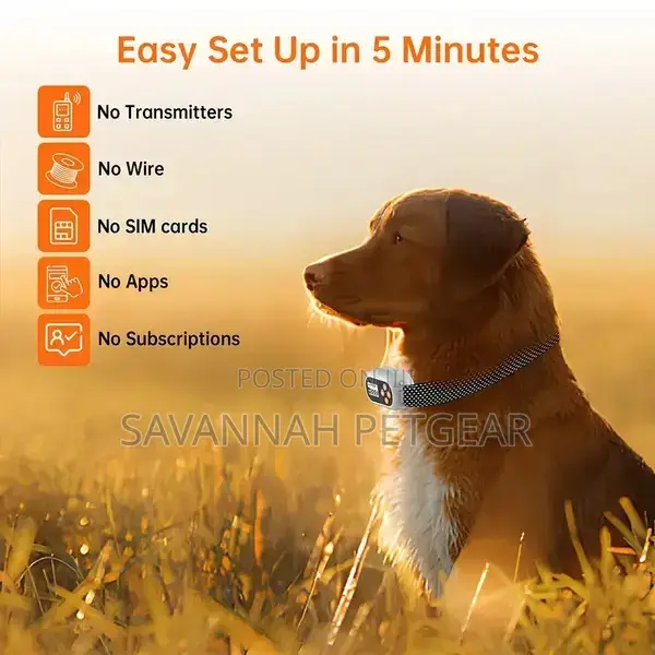 Wireless Dog Fence GPS Pet Containment System - F820
