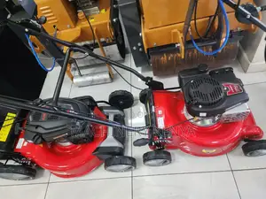 Lawnmower 139cc Complete With Collection Bag
