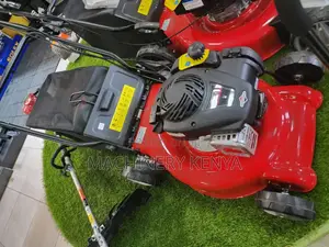 Briggs And Stratton New Lawnmower