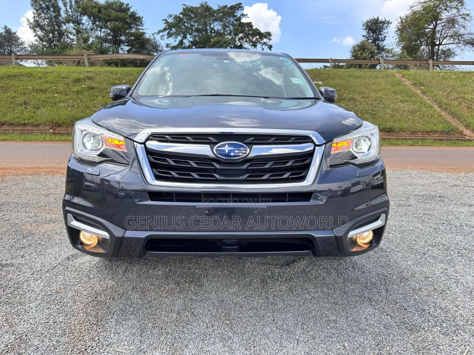 Subaru Forester 2017 Gray