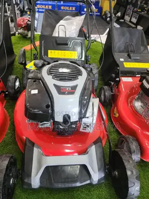 Briggs And Stratton Self Propelled Lawnmower 163cc