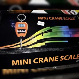300kg Crane Scale