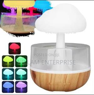 Rain Cloud Humidifier - thumbnail 2