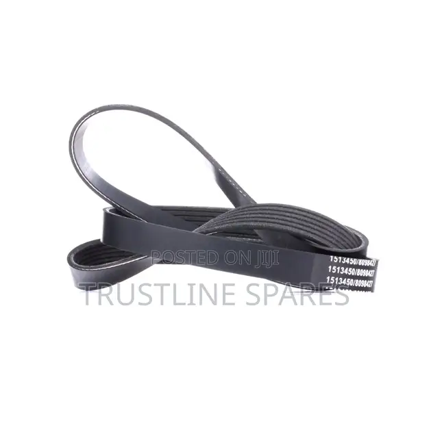 V-Ribbed Belt 6pk1538 for BMW