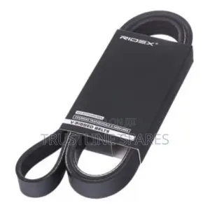 V-Ribbed Belt 6pk1538 for BMW