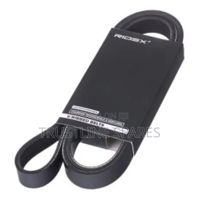 V-Ribbed Belt 6pk1538 for BMW
