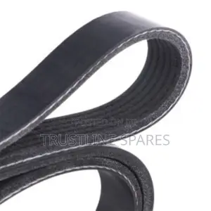 V-Ribbed Belt 6pk1538 for BMW