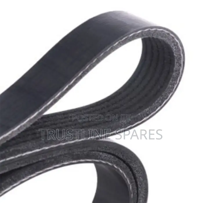 V-Ribbed Belt 6pk1538 for BMW
