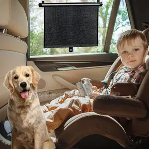 2pc Window Retractable Shade