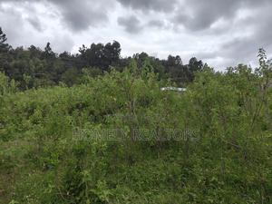 Quarter Acre Plot in Ngong, Matasia 1km From the Tarmac - thumbnail 2