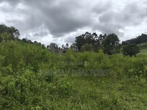 Quarter Acre Plot in Ngong, Matasia 1km From the Tarmac