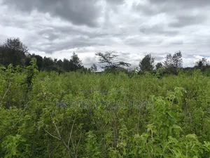 Quarter Acre Plot in Ngong, Matasia 1km From the Tarmac