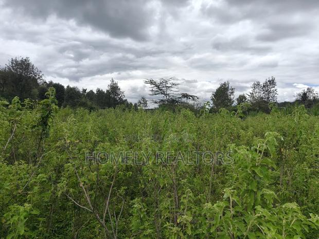 Quarter Acre Plot in Ngong, Matasia 1km From the Tarmac - thumbnail 4