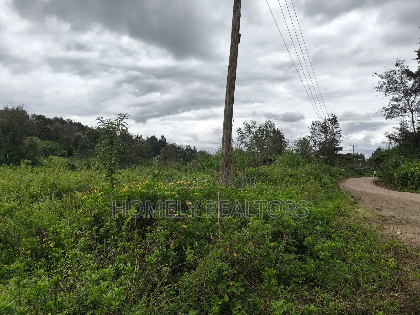 Quarter Acre Plot in Ngong, Matasia 1km From the Tarmac