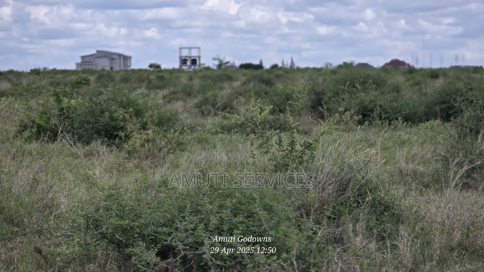 41 Acres for Sale