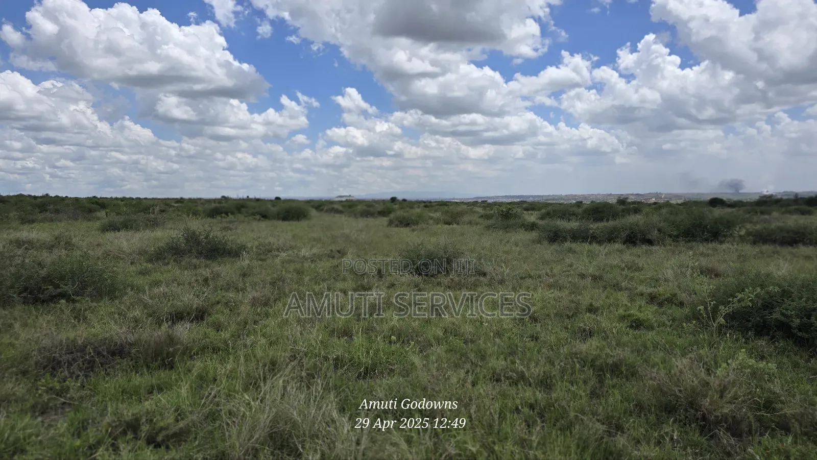 41 Acres for Sale