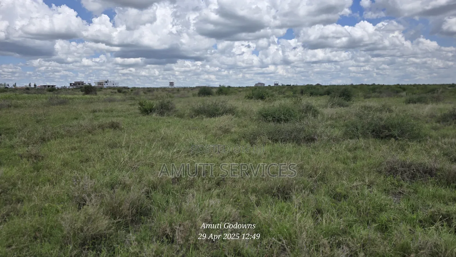 41 Acres for Sale