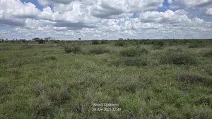 41 Acres for Sale