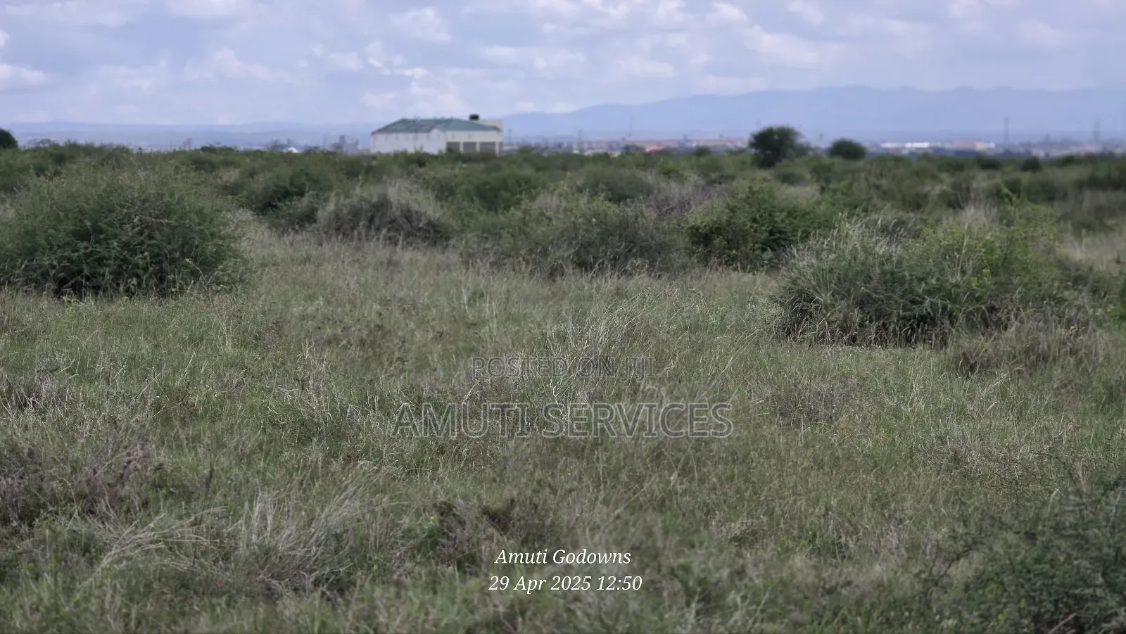 41 Acres for Sale