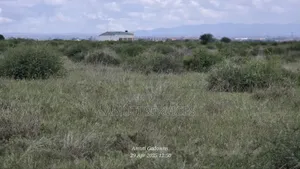 41 Acres for Sale
