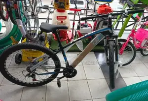 Foster Bike