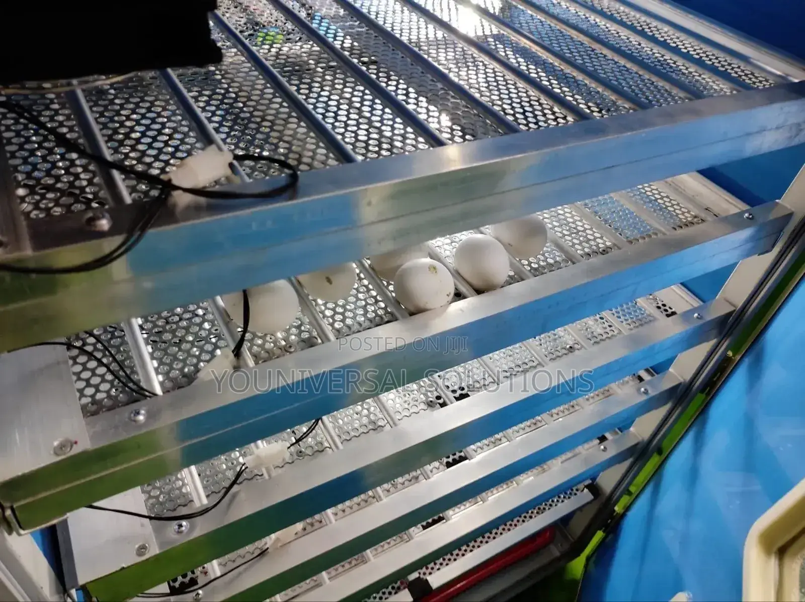 528 Eggs Automatic Incubator