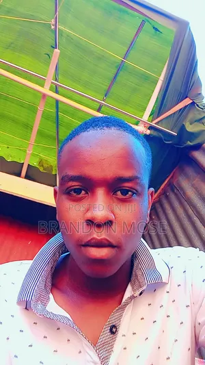 Am a Worker Who Is Willing to Work With Any Company