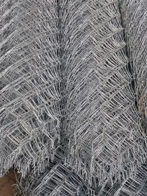 Galvanised Mesh Wire 10g 6ft