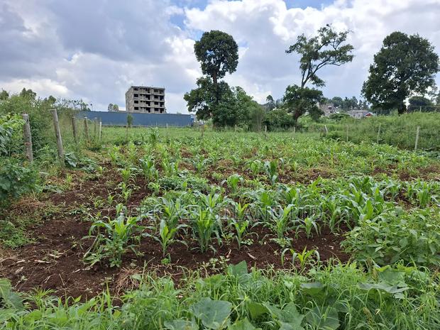 50x100 Available Plot for Sale in Ruaka Muchatha - thumbnail 4