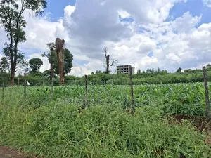 50x100 Available Plot for Sale in Ruaka Muchatha