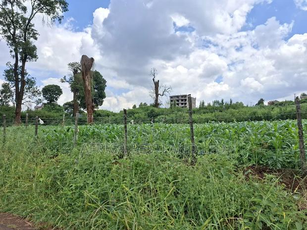 50x100 Available Plot for Sale in Ruaka Muchatha - thumbnail 5