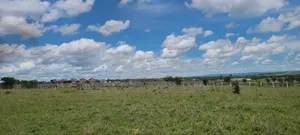 1.49 Million Guarantees a 50 by 100ft Plot