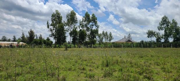 1.49 Million Guarantees a 50 by 100ft Plot - thumbnail 6