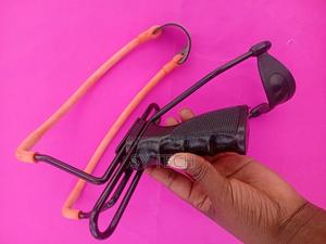 Professional Catapult - thumbnail 2