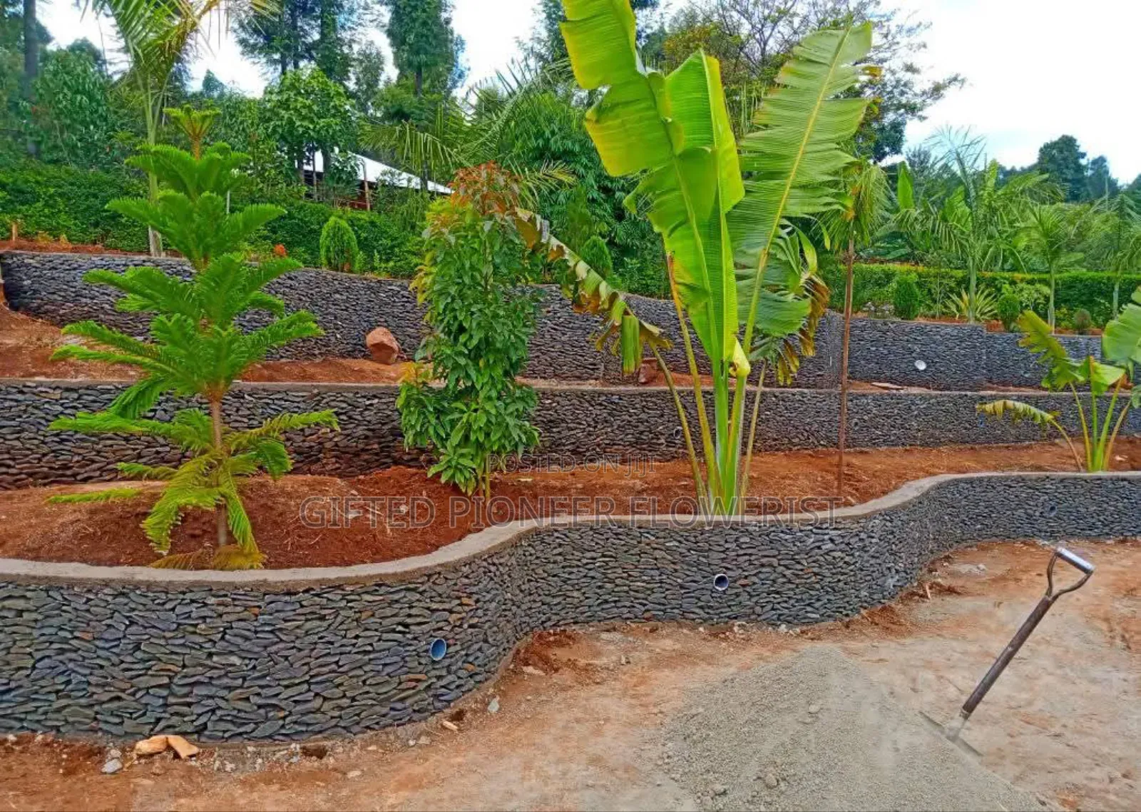 Stone Hedge Expert in Landscape Design