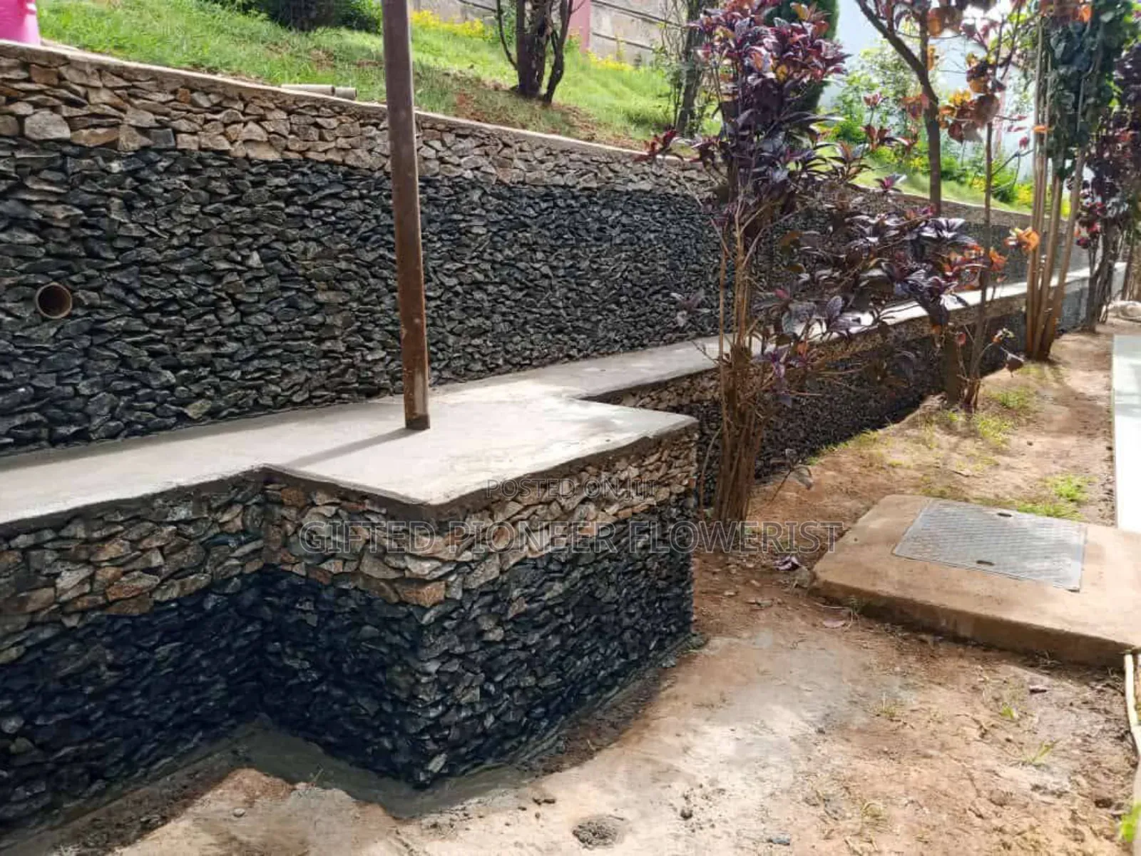 Stone Hedge Expert in Landscape Design
