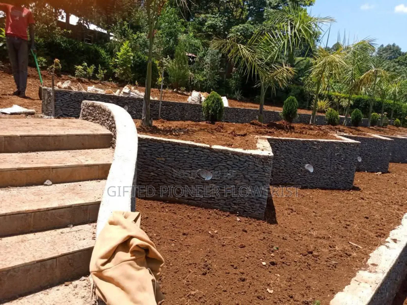 Stone Hedge Expert in Landscape Design