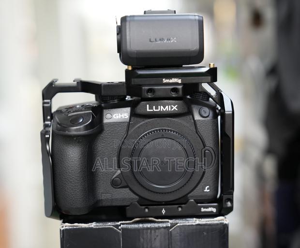 Panasonic Lumix Gh5 Mirrorless Camera With Smallrig Cage